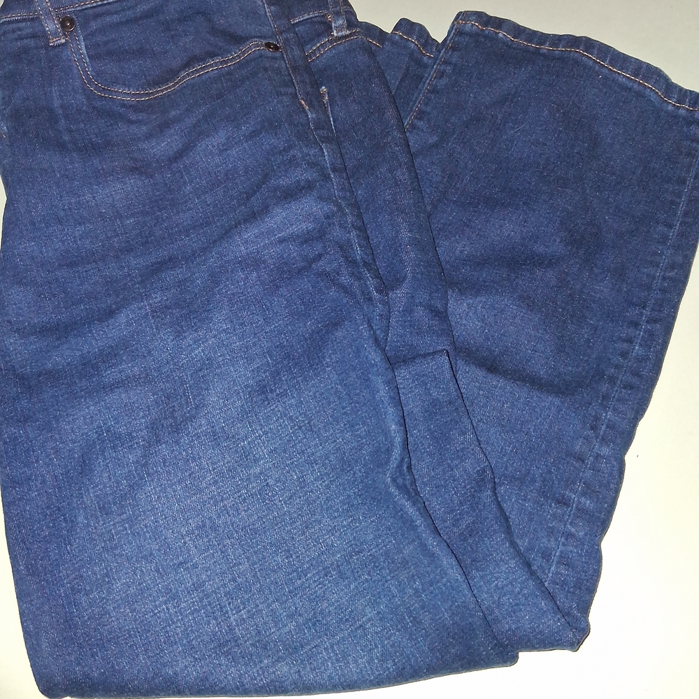 LOFT Women's High Rise Blue Jeans